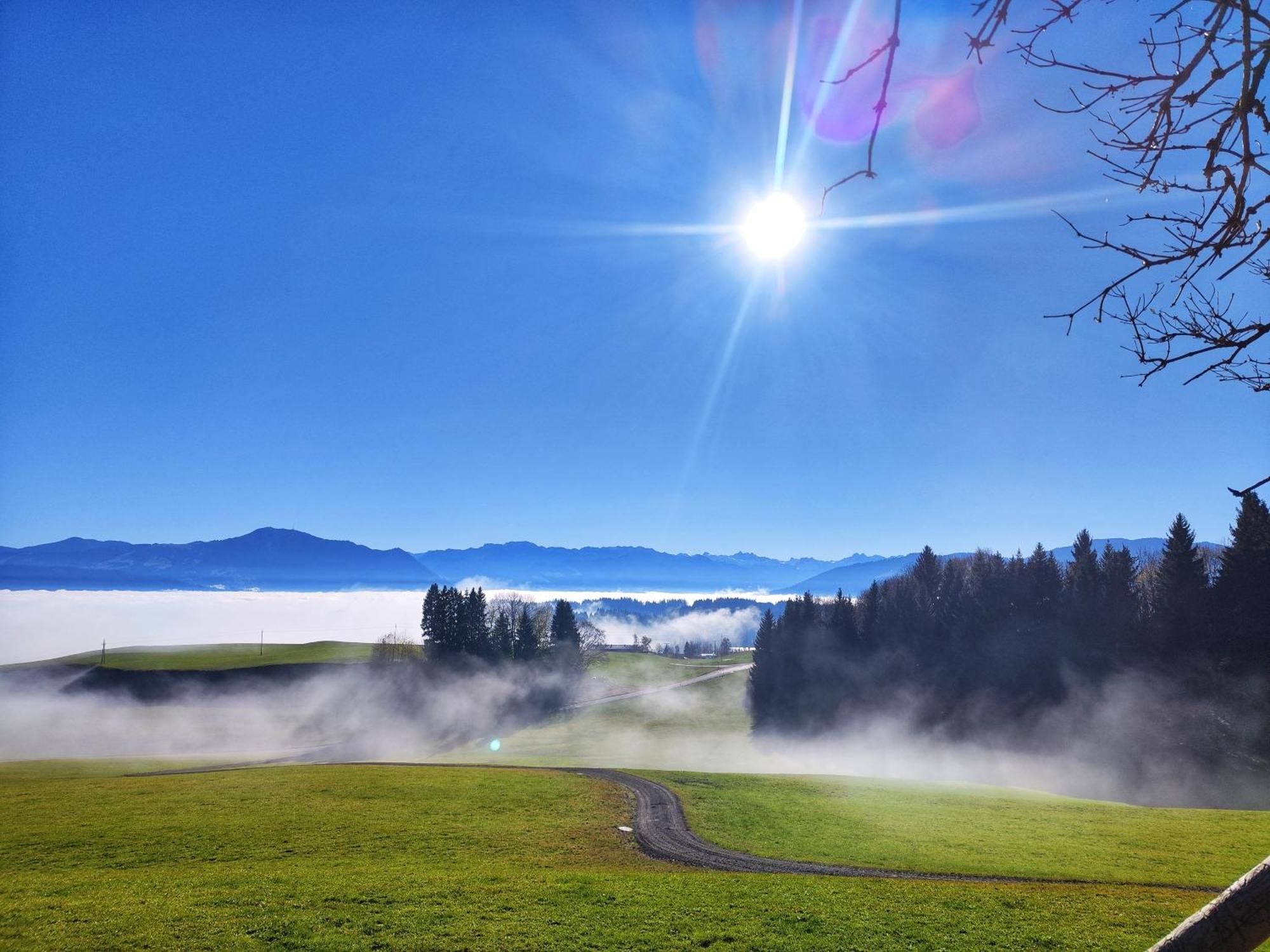 Alpseegruenten - Die Ferienwohnung Immenstadt im Allgäu Buitenkant foto